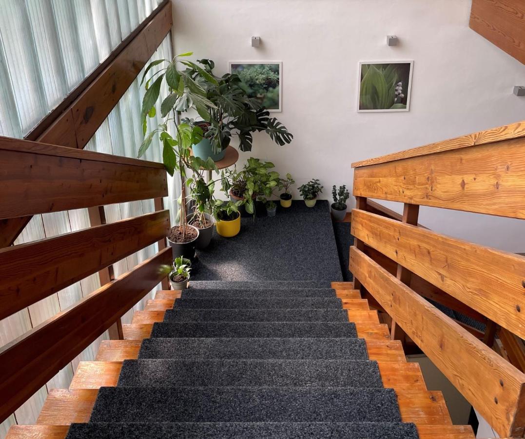 Penzion Kozi Horka U Brnenske Prehrady Brno Exterior foto