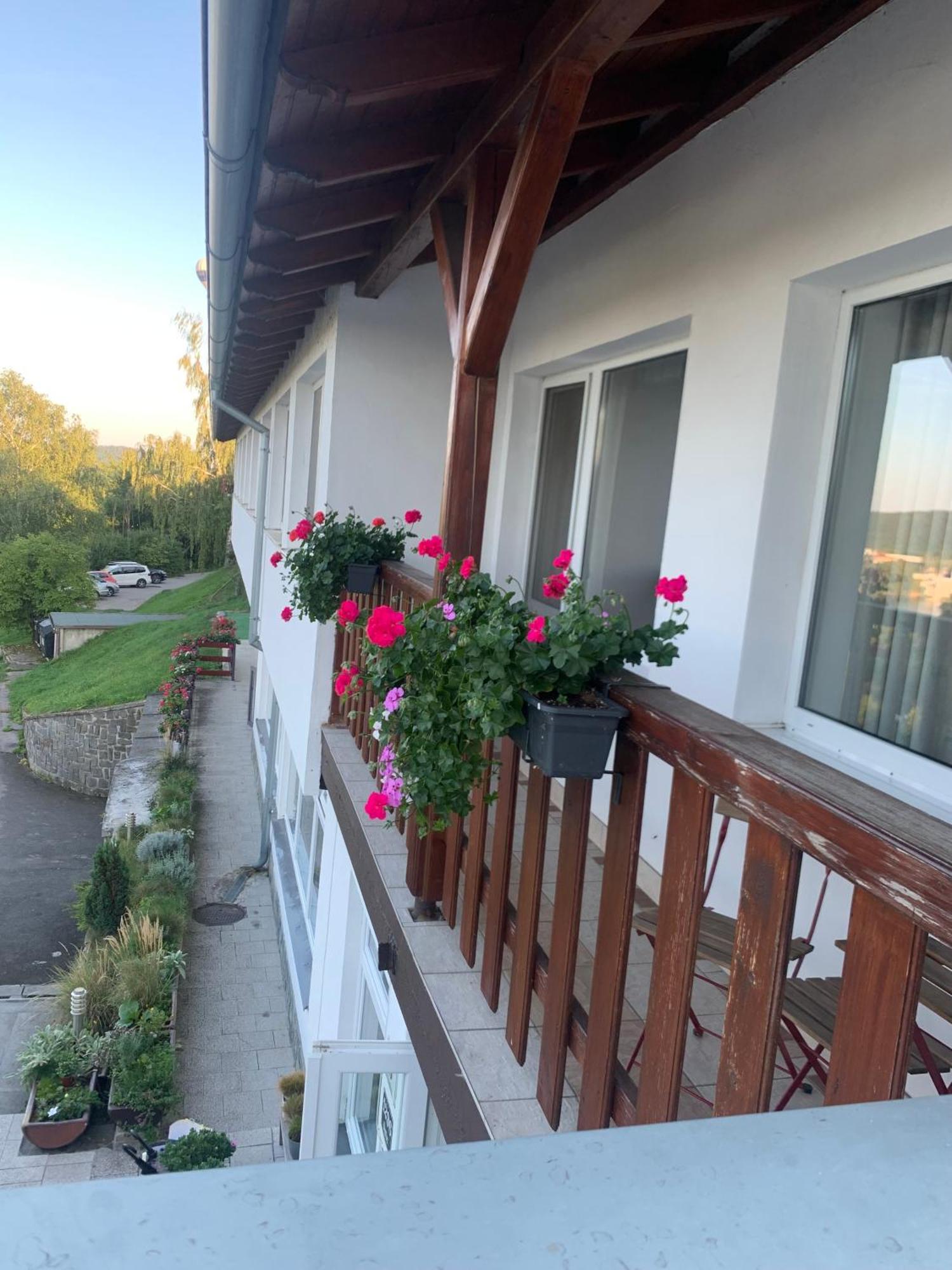 Penzion Kozi Horka U Brnenske Prehrady Brno Exterior foto